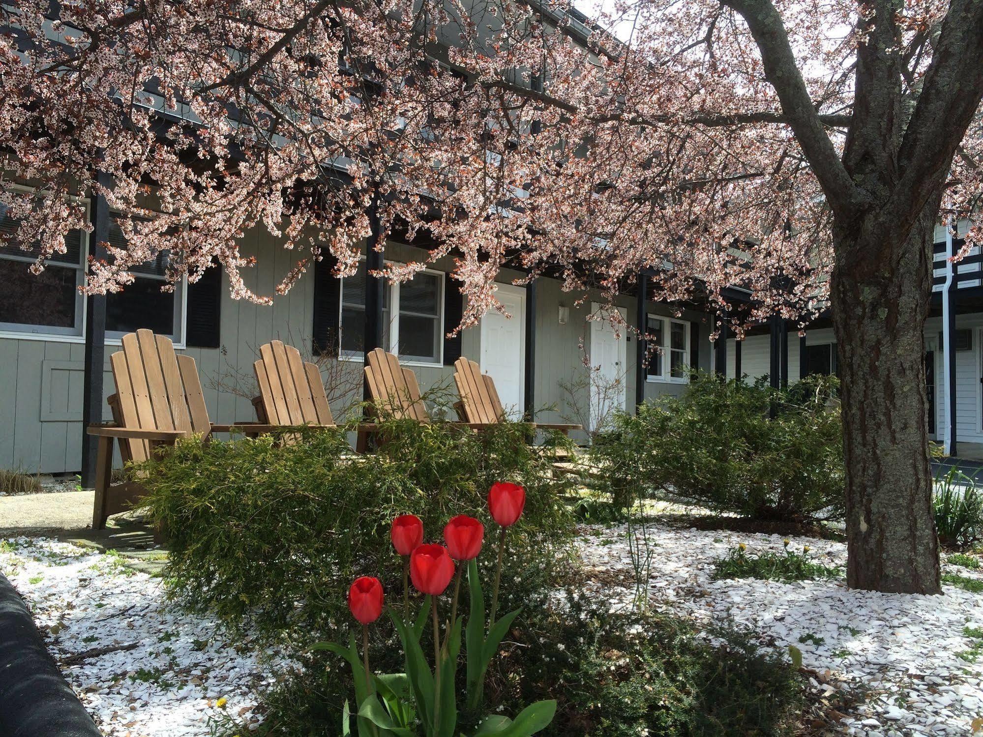 The Even'Tide Wellfleet Exterior foto